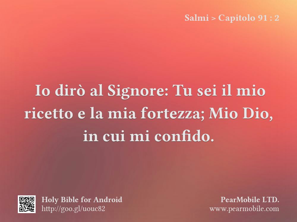 Salmi, Capitolo 91:2